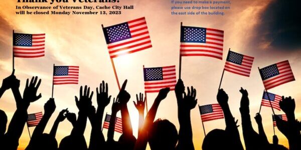 Veterans Day 3